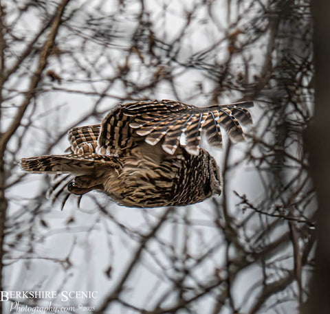 Shadow Resolution 2026: Practitioner Early bird